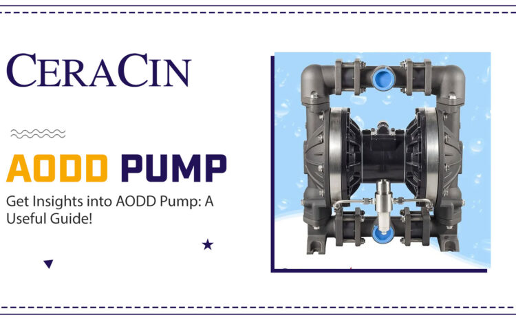  Get Insights into AODD Pump: A Useful Guide!