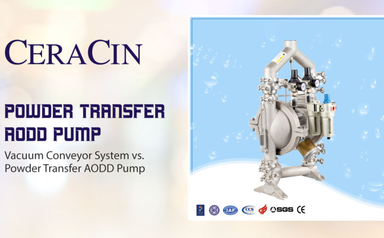  Vacuum Conveyor System vs. Powder Transfer AODD Pump