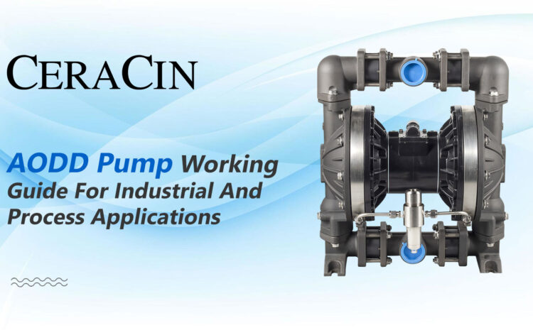  AODD Pump Working Guide for Industrial and Process Applications